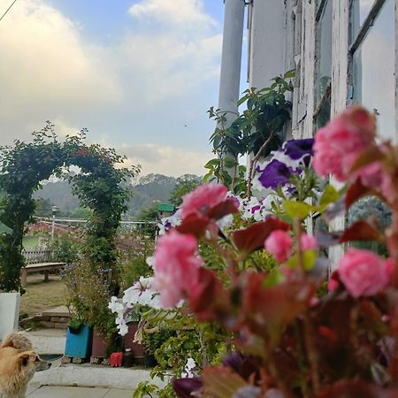 Mohraj Home Stay Bhowali Экстерьер фото