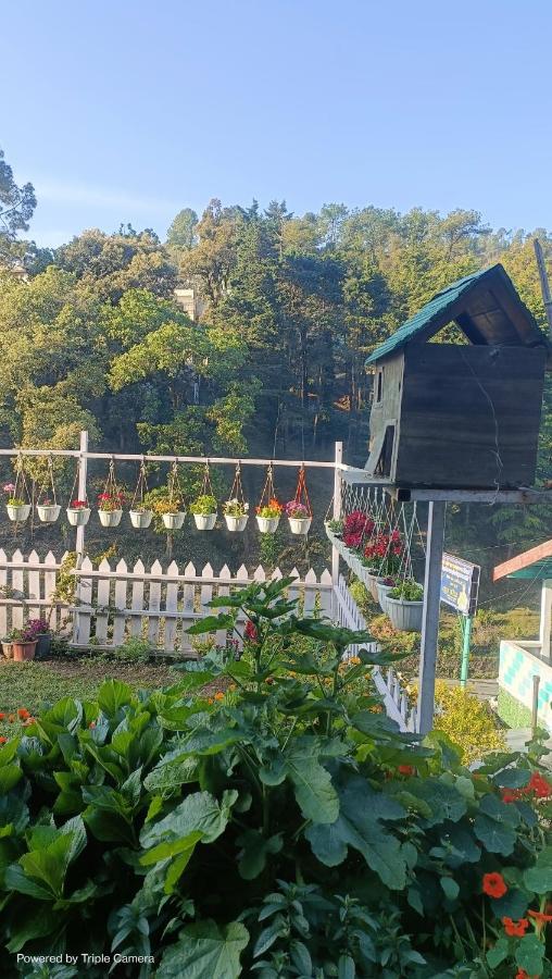 Mohraj Home Stay Bhowali Экстерьер фото