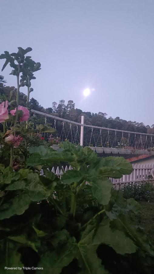 Mohraj Home Stay Bhowali Экстерьер фото